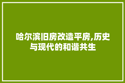 哈尔滨旧房改造平房,历史与现代的和谐共生