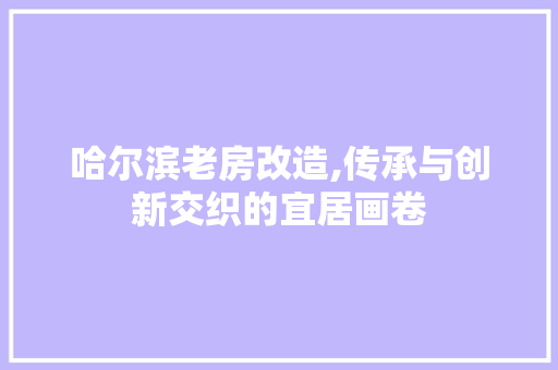 哈尔滨老房改造,传承与创新交织的宜居画卷