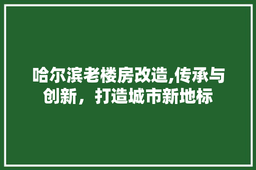 哈尔滨老楼房改造,传承与创新，打造城市新地标
