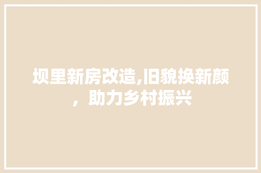 坝里新房改造,旧貌换新颜，助力乡村振兴