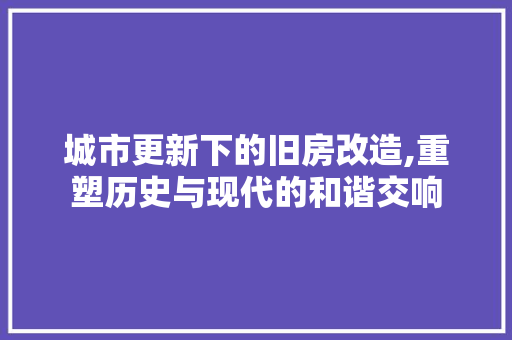 城市更新下的旧房改造,重塑历史与现代的和谐交响