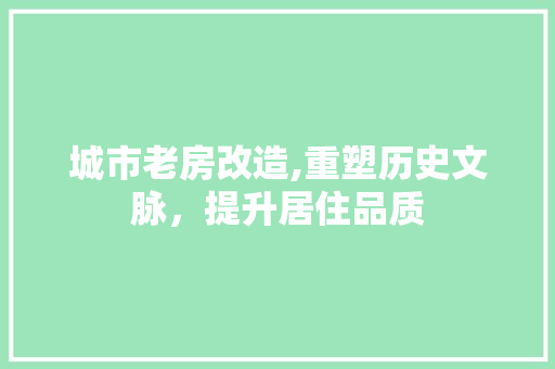 城市老房改造,重塑历史文脉，提升居住品质
