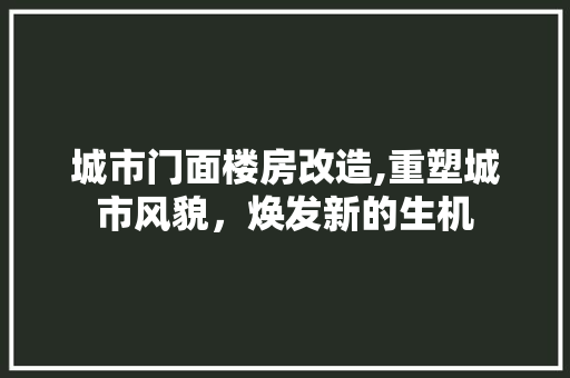 城市门面楼房改造,重塑城市风貌，焕发新的生机