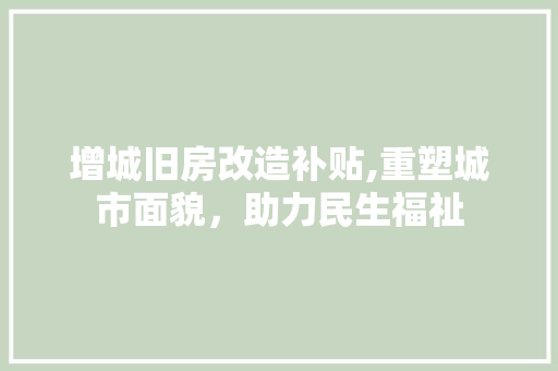 增城旧房改造补贴,重塑城市面貌，助力民生福祉