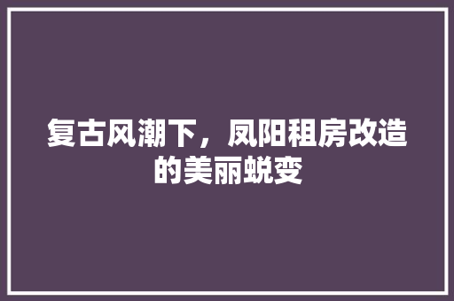 复古风潮下，凤阳租房改造的美丽蜕变
