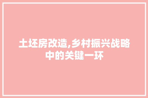 土坯房改造,乡村振兴战略中的关键一环