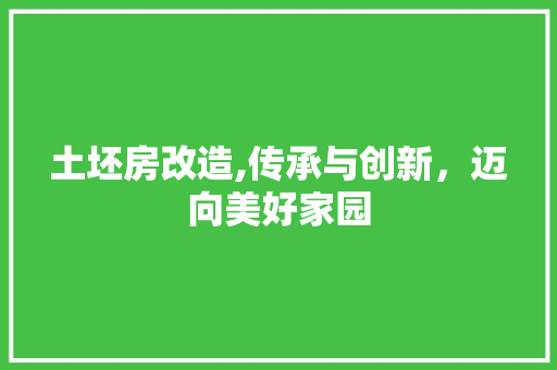 土坯房改造,传承与创新，迈向美好家园