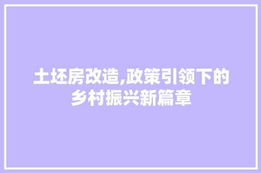 土坯房改造,政策引领下的乡村振兴新篇章