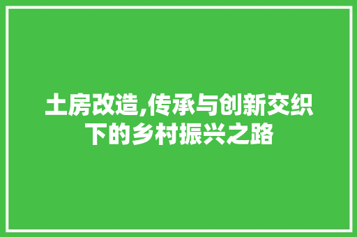 土房改造,传承与创新交织下的乡村振兴之路