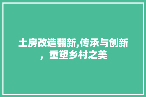 土房改造翻新,传承与创新，重塑乡村之美