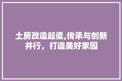 土房改造起梁,传承与创新并行，打造美好家园