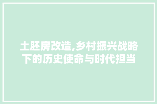 土胚房改造,乡村振兴战略下的历史使命与时代担当