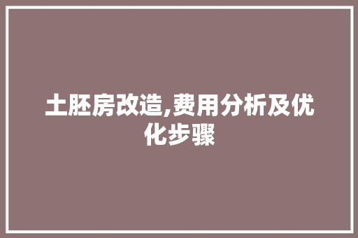 土胚房改造,费用分析及优化步骤