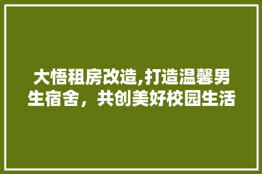 大悟租房改造,打造温馨男生宿舍，共创美好校园生活
