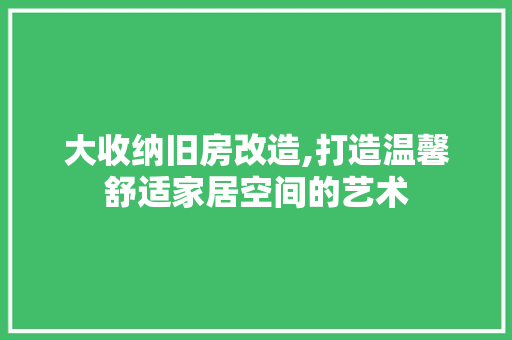 大收纳旧房改造,打造温馨舒适家居空间的艺术