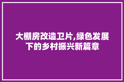 大棚房改造卫片,绿色发展下的乡村振兴新篇章