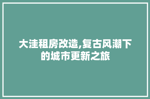 大洼租房改造,复古风潮下的城市更新之旅