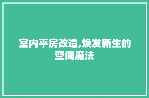 室内平房改造,焕发新生的空间魔法