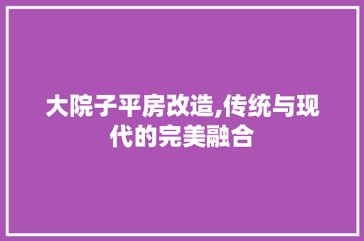 大院子平房改造,传统与现代的完美融合