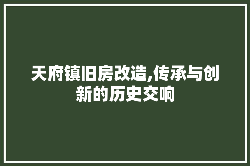 天府镇旧房改造,传承与创新的历史交响