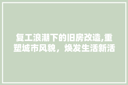 复工浪潮下的旧房改造,重塑城市风貌，焕发生活新活力