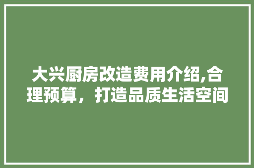 大兴厨房改造费用介绍,合理预算，打造品质生活空间