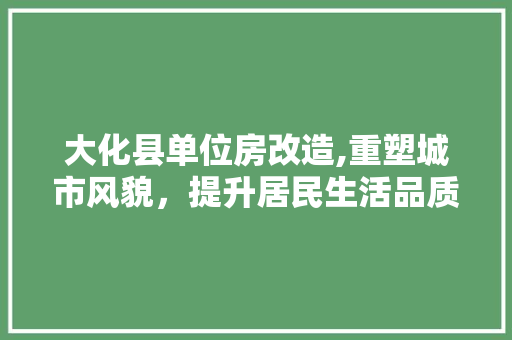 大化县单位房改造,重塑城市风貌，提升居民生活品质