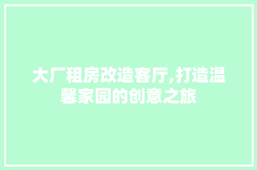 大厂租房改造客厅,打造温馨家园的创意之旅
