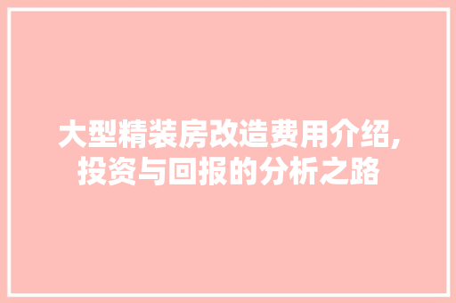大型精装房改造费用介绍,投资与回报的分析之路
