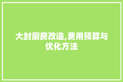 大封厨房改造,费用预算与优化方法