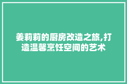 姜莉莉的厨房改造之旅,打造温馨烹饪空间的艺术
