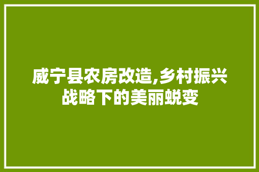 威宁县农房改造,乡村振兴战略下的美丽蜕变