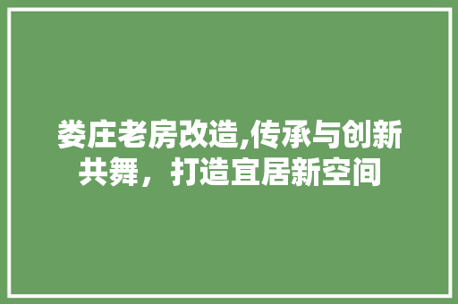 娄庄老房改造,传承与创新共舞，打造宜居新空间