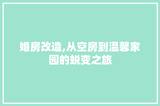 婚房改造,从空房到温馨家园的蜕变之旅
