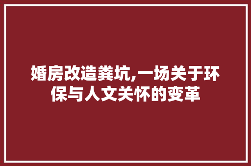 婚房改造粪坑,一场关于环保与人文关怀的变革