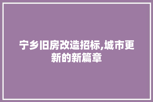 宁乡旧房改造招标,城市更新的新篇章