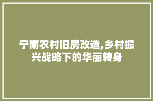 宁南农村旧房改造,乡村振兴战略下的华丽转身