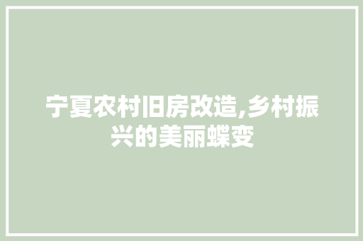 宁夏农村旧房改造,乡村振兴的美丽蝶变