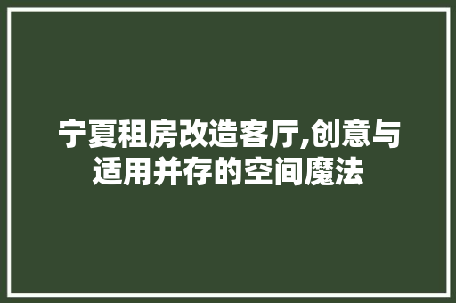 宁夏租房改造客厅,创意与适用并存的空间魔法