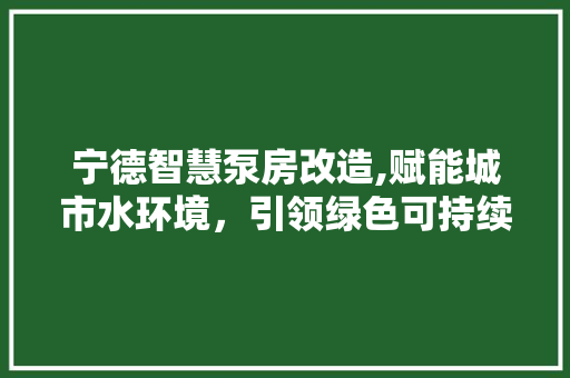 宁德智慧泵房改造,赋能城市水环境，引领绿色可持续发展