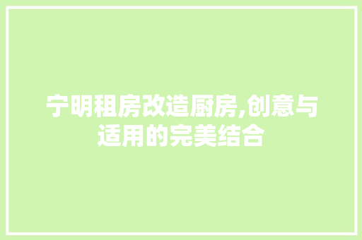 宁明租房改造厨房,创意与适用的完美结合