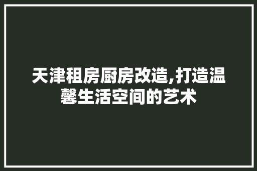 天津租房厨房改造,打造温馨生活空间的艺术