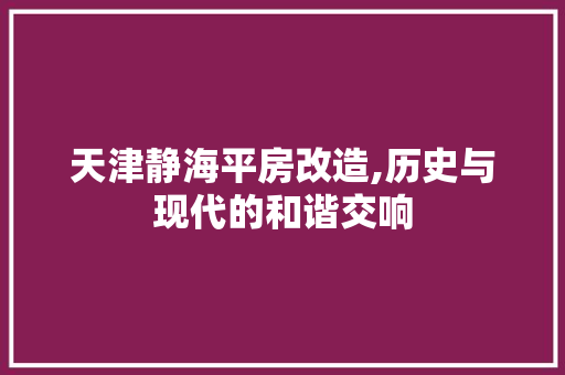 天津静海平房改造,历史与现代的和谐交响