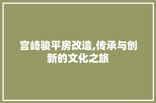 宫崎骏平房改造,传承与创新的文化之旅