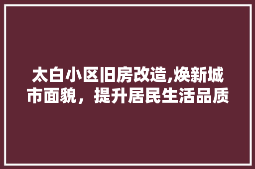 太白小区旧房改造,焕新城市面貌，提升居民生活品质