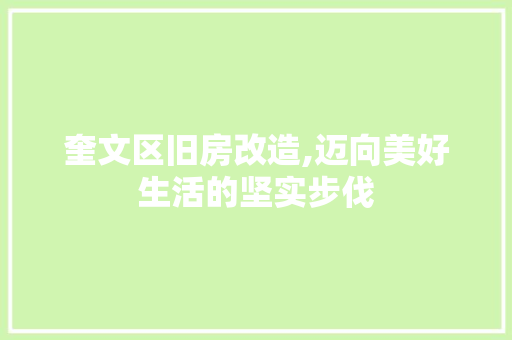 奎文区旧房改造,迈向美好生活的坚实步伐