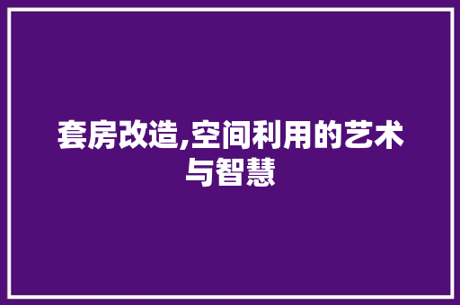 套房改造,空间利用的艺术与智慧