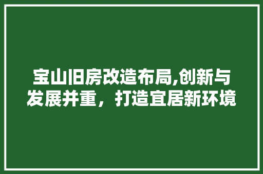 宝山旧房改造布局,创新与发展并重，打造宜居新环境