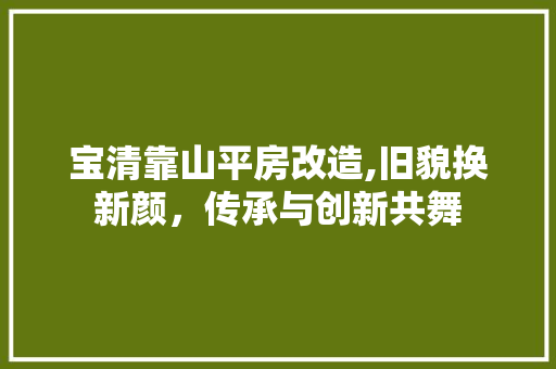 宝清靠山平房改造,旧貌换新颜，传承与创新共舞