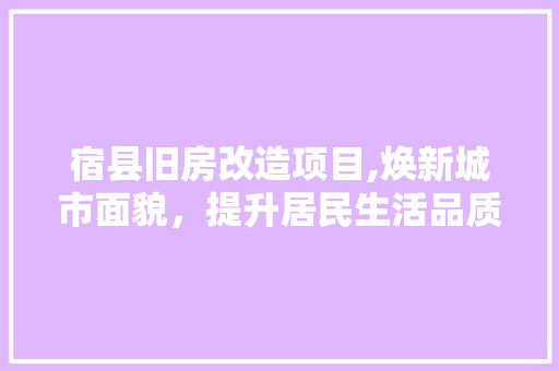 宿县旧房改造项目,焕新城市面貌，提升居民生活品质